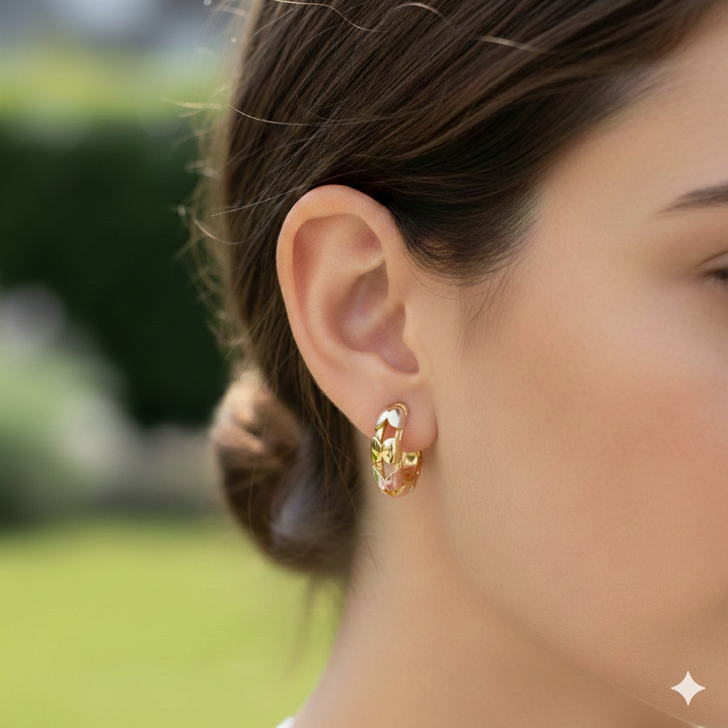 Elegante Vergoldete Creolen Für Damen